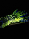 Guantes arquero Verde Neon